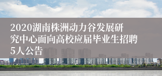 2020湖南株洲动力谷发展研究中心面向高校应届毕业生招聘5人公告