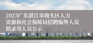 2023广东湛江市坡头区人力资源和社会保障局招聘编外人员拟录用人员公示