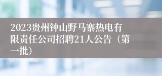 2023贵州钟山野马寨热电有限责任公司招聘21人公告（第一批）