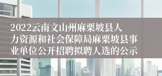 2022云南文山州麻栗坡县人力资源和社会保障局麻栗坡县事业单位公开招聘拟聘人选的公示