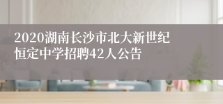 2020湖南长沙市北大新世纪恒定中学招聘42人公告