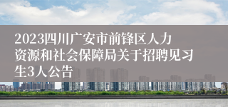 2023四川广安市前锋区人力资源和社会保障局关于招聘见习生3人公告