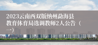 2023云南西双版纳州勐海县教育体育局选调教师2人公告（一）