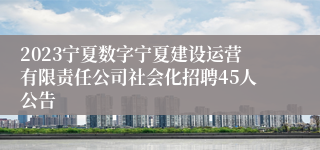 2023宁夏数字宁夏建设运营有限责任公司社会化招聘45人公告