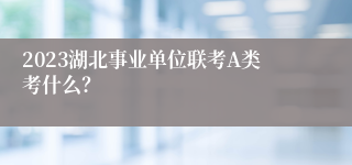 2023湖北事业单位联考A类考什么？