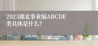 2023湖北事业编ABCDE类具体是什么？