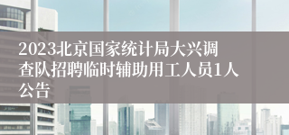 2023北京国家统计局大兴调查队招聘临时辅助用工人员1人公告