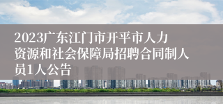 2023广东江门市开平市人力资源和社会保障局招聘合同制人员1人公告