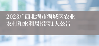 2023广西北海市海城区农业农村和水利局招聘1人公告