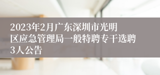 2023年2月广东深圳市光明区应急管理局一般特聘专干选聘3人公告