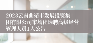 2023云南曲靖市发展投资集团有限公司市场化选聘高级经营管理人员1人公告