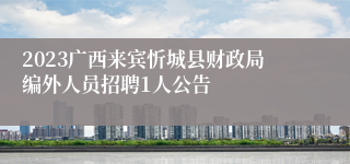 2023广西来宾忻城县财政局编外人员招聘1人公告