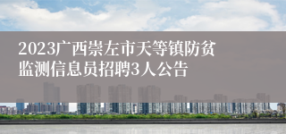 2023广西崇左市天等镇防贫监测信息员招聘3人公告