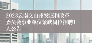 2023云南文山州发展和改革委员会事业单位紧缺岗位招聘1人公告