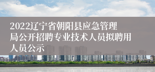 2022辽宁省朝阳县应急管理局公开招聘专业技术人员拟聘用人员公示