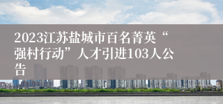 2023江苏盐城市百名菁英“强村行动”人才引进103人公告