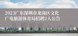2023广东深圳市龙岗区文化广电旅游体育局招聘2人公告