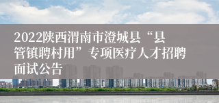 2022陕西渭南市澄城县“县管镇聘村用”专项医疗人才招聘面试公告