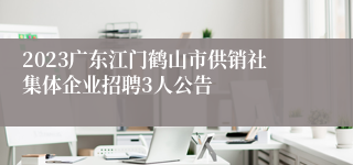 2023广东江门鹤山市供销社集体企业招聘3人公告