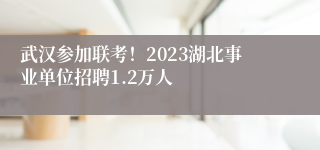 武汉参加联考！2023湖北事业单位招聘1.2万人