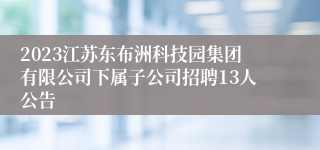 2023江苏东布洲科技园集团有限公司下属子公司招聘13人公告