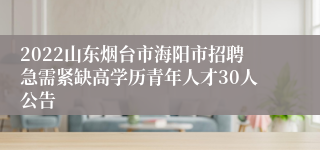 2022山东烟台市海阳市招聘急需紧缺高学历青年人才30人公告