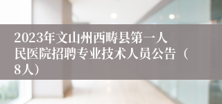 2023年文山州西畴县第一人民医院招聘专业技术人员公告（8人）