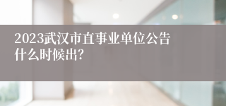 2023武汉市直事业单位公告什么时候出？