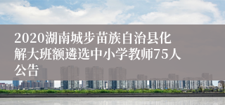 2020湖南城步苗族自治县化解大班额遴选中小学教师75人公告