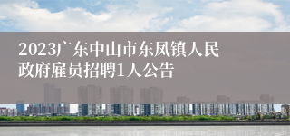 2023广东中山市东凤镇人民政府雇员招聘1人公告