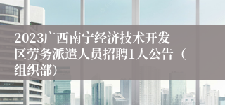 2023广西南宁经济技术开发区劳务派遣人员招聘1人公告（组织部）