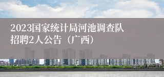 2023国家统计局河池调查队招聘2人公告（广西）