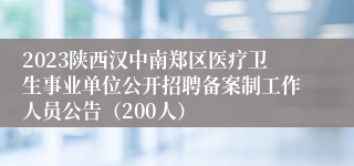 2023陕西汉中南郑区医疗卫生事业单位公开招聘备案制工作人员公告（200人）