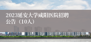 2023延安大学咸阳医院招聘公告（10人）