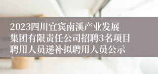 2023四川宜宾南溪产业发展集团有限责任公司招聘3名项目聘用人员递补拟聘用人员公示