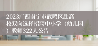 2023广西南宁市武鸣区赴高校双向选择招聘中小学（幼儿园）教师322人公告