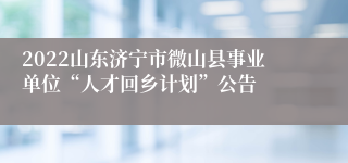 2022山东济宁市微山县事业单位“人才回乡计划”公告