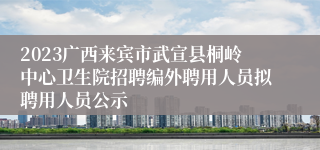 2023广西来宾市武宣县桐岭中心卫生院招聘编外聘用人员拟聘用人员公示