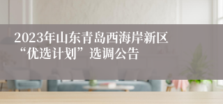 2023年山东青岛西海岸新区“优选计划”选调公告