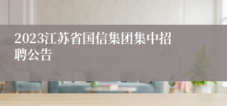 2023江苏省国信集团集中招聘公告