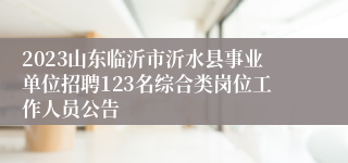 2023山东临沂市沂水县事业单位招聘123名综合类岗位工作人员公告