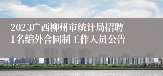 2023广西柳州市统计局招聘1名编外合同制工作人员公告