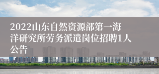 2022山东自然资源部第一海洋研究所劳务派遣岗位招聘1人公告