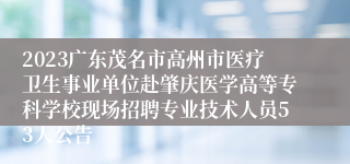 2023广东茂名市高州市医疗卫生事业单位赴肇庆医学高等专科学校现场招聘专业技术人员53人公告