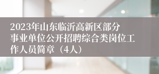 2023年山东临沂高新区部分事业单位公开招聘综合类岗位工作人员简章（4人）