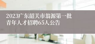 2023广东韶关市翁源第一批青年人才招聘65人公告