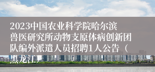 2023中国农业科学院哈尔滨兽医研究所动物支原体病创新团队编外派遣人员招聘1人公告（黑龙江）