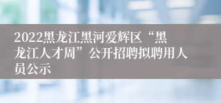 2022黑龙江黑河爱辉区“黑龙江人才周”公开招聘拟聘用人员公示