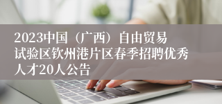 2023中国（广西）自由贸易试验区钦州港片区春季招聘优秀人才20人公告