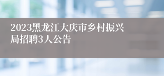 2023黑龙江大庆市乡村振兴局招聘3人公告